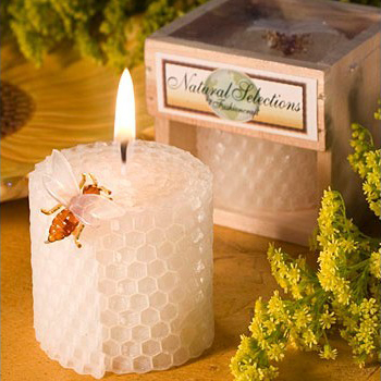 Suministros para fiesta de cum - Candle Supply reseña y precio