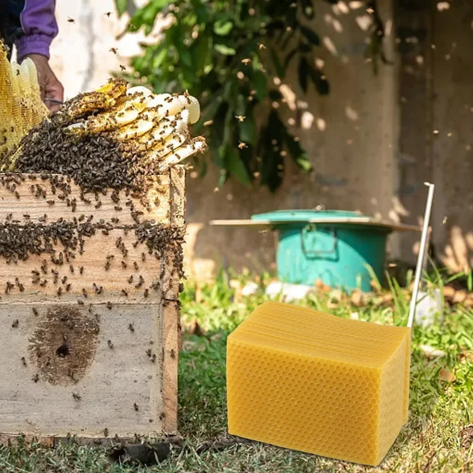 Suministros de colmena, base d - Beeswax Sheet Roll reseña y precio
