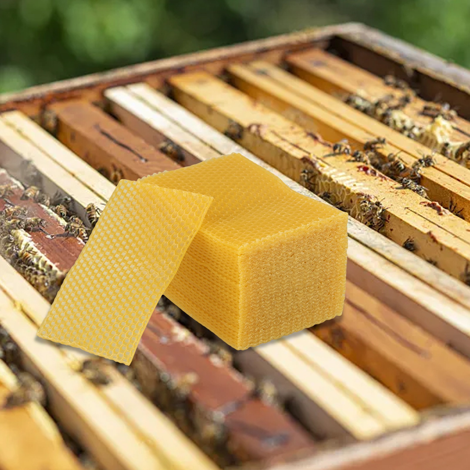 Láminas de Cera de Abeja para  - Beeswax Sheet Roll reseña y precio