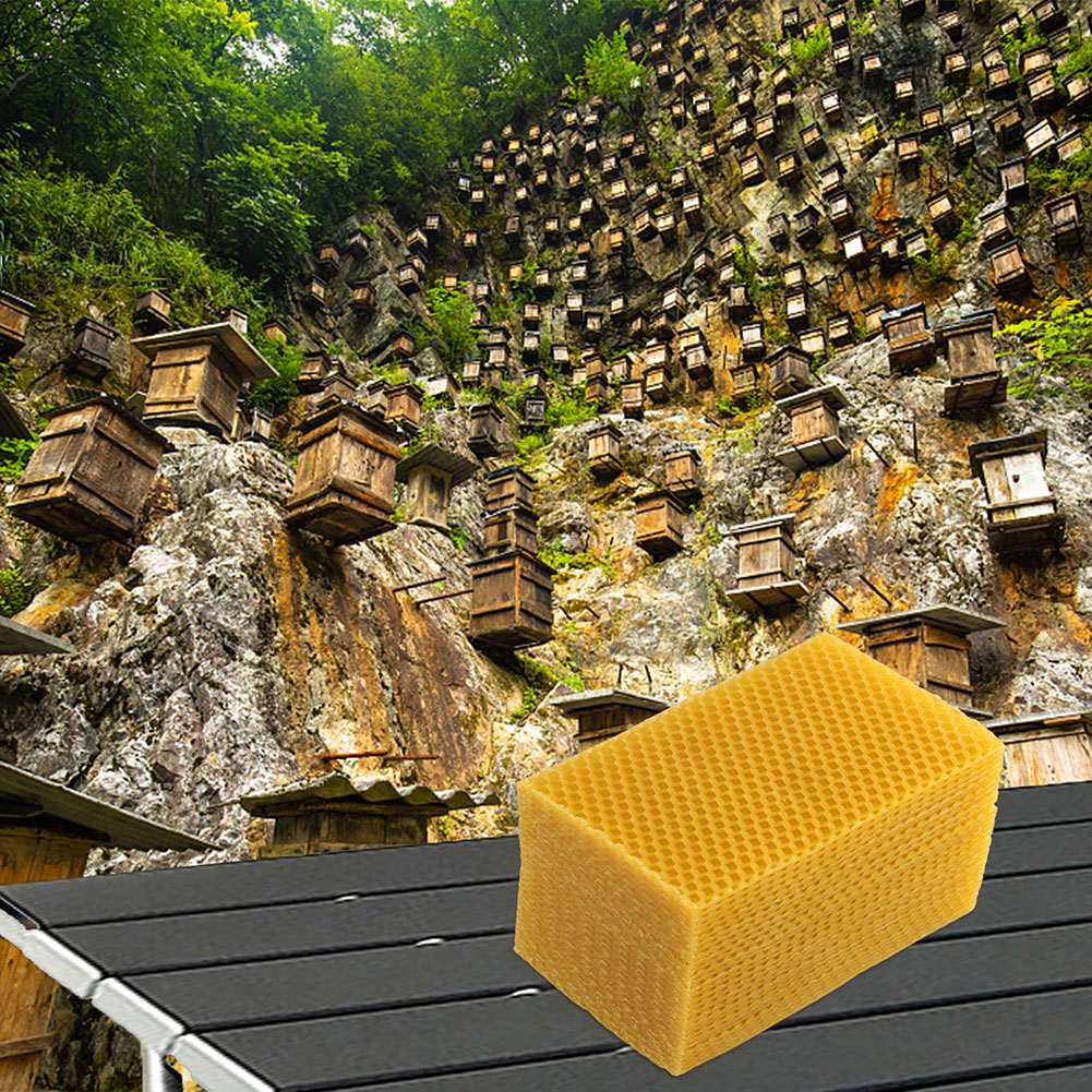 30 Uds hojas de cera de abejas - Beeswax Sheet Roll reseña y precio